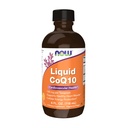 NOW Supplementen, CoQ10 vloeibaar, 100 mg per theelepel, met co-enzym B vitamines, gezoet met xylitol, 4-once