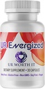 UR Energized Capsules - Supplement met Reishi, Chaga, Green Coffee & Thee Extract - Focus, Clarity & Energy for Active Lifestyles - 30 Capsules