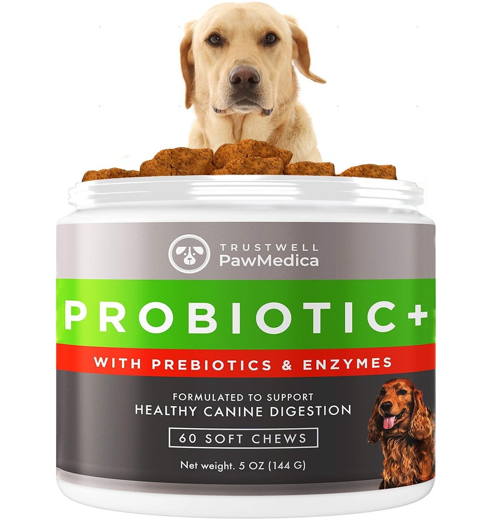PawMedica Honden Probiotica en Digestieve Enzymen, Probiotica voor Honden Made in USA, Pet Probiotic Kauwen voor Honden, Prebiotica & Probiotic Honden Digestieve Ondersteuning, Probiotic Treats - 60 Honden Probiotische Kauwen