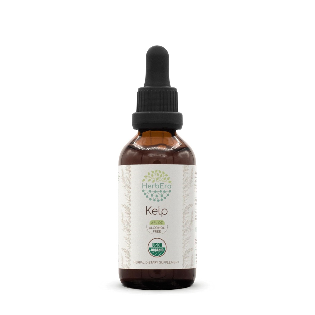 HerbEra Kelp B60 USDA Organische Tinctuur 