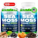 Sea Moss Gummies, 3100mg Irish True Sea Moss Seamoss Gummies for Women & Men with Bladderwrack, Burdock Root, Vlierberry Vitamin C and Zink for Detox Cleanse, Immune, Skin, Digestief, Biologische, 120Ct