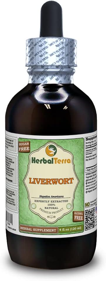 Foie (Hepatica Americana) Glycérite, extrait liquide sans alcool séché à base de plantes (marque: HerbalTerra, fièrement fabriqué aux États-Unis) 4 fl.oz (120 ml)