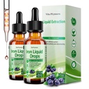 2 Pack Liquid Iron Supplement voor vrouwen mannen & kinderen, Vegan Iron Drops met vitamine C D, B12, B-complex, hoge potentie vloeibaar met multivitamine voor anemie, energie-ondersteuning, Magnesium ijzer Gentle