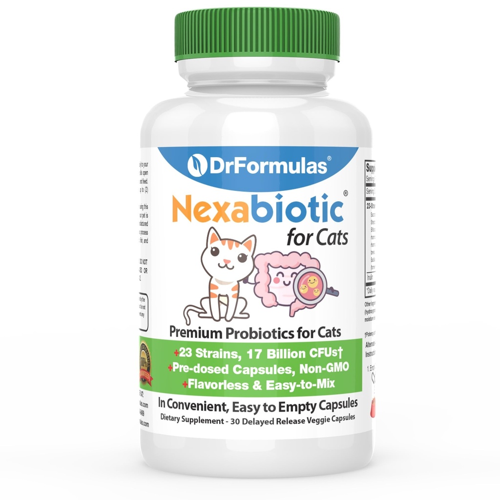 DrFormulas Nexabiotic Probiotica voor katten Poeder 