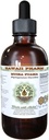 Muira Puama Alcoholvrij Liquid Extract, Biologische Muira Puama (Ptychopetalum Olacoides) Glycerite Natural Herbal Supplement, Hawaii Pharm, VS 4 oz