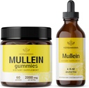 HERBAMAMA Mullein Leaf Extract Kit - Bundel van 2000 mg Mullein Leaf Gummies en Mullein Leaf Tinctuur 4 fl oz - Vegan, Non-GMO, Alcohol-Free - 2 Pack
