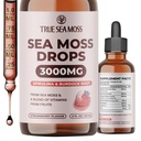 TrueSeaMoss Irish Sea Moss Drops - 5X Sterker dan Sea Moss Gel - 92+ Essentials Mineralen - met Spirulina Poeder, Burdock Root & Black Cumin - 2 Fl Oz (60ml) - Aardbei smaak