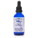 Eidon Liquid Silica Mineral Concentrate - Supplément Silica pour cheveux, peau et ongles, gouttes pour soutenir la production de collagène, aide à gérer le calcium, pas de sucre ajouté - 2 oz