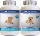 Soutien immunitaire Vitamines - Support immunitaire des chiens - Extrait de racine de lard - Racine de lard pour chiens - Pilules de chien immune, Support immunitaire pour chiens probiotique, Supplément de soutien immunitaire 2 Bot (120 Chews)