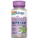 SOLARAY Guaranteed Potency Olive Leaf Extract Dubbele sterkte, Veg Cap (Btl-Plastic) 500mg 30ct