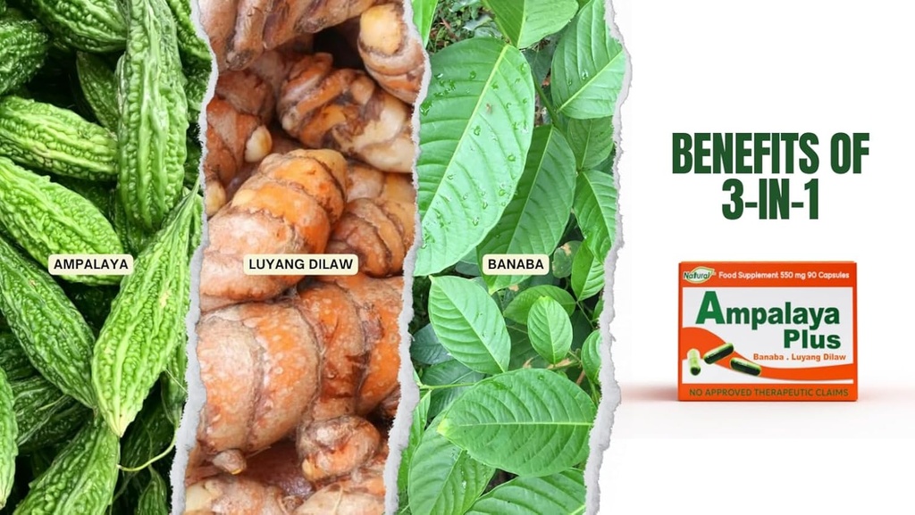 Ampalaya Plus 550mg 90 Capsules - Boîte de 1 - avec Banaba, Ginger Turmeric et Melon Bitter par Ampalaya Plus - Compléments halaux à base de plantes