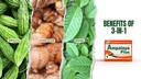 Ambalaya Plus 550mg 90 Capsules - Verpakking van 1 - met Banaba, Turmeric Ginger en Bitter Melon door Ambalaya Plus - Halal Herbal Supplements