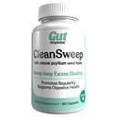 CleanSweep Capsules, soutient les mouvements sains de Bowel, le soutien de la santé digestive, favorise la régularité, les graines naturelles de Psyllium, supplément de fibre quotidienne, 90 capsules, 90 portions