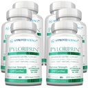Goedgekeurde Wetenschap Pyloriprin - Geavanceerde Digestieve Ondersteuning voor een gezonde maag - Zink L-Carnosine, Probiotic, Broccoli Spruit, Deglycyrrized Licorice - 360 Capsules - zes maanden levering - Vegan
