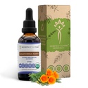 Geheimen van de stam Californië Poppy Tinctuur Alcoholvrije Liquid Extract, USDA Biologische California Poppy (Eschscholzia California) Gedroogde Wortel (2 FL OZ)