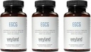 EGCG Green Tea Extract 400 mg - Antioxidant Supplement 