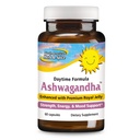 NOORD AMERIKAANSE HERB & SPICE Ashwagandha 60 Caps