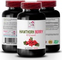 capsules de baies d'aubépine - HAWTHORN BERRIES EXTRACT - supplément d'extrait d'aubépine, capsules d'extrait de baies d'aubépine, poudre d'extrait de baies, énergie des baies sauvages, pilules énergétiques d'aubépine 1 bouteille 60 capsules