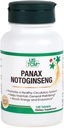 Panax Notoginseng Comprimé - Système circulatoire sain