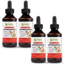 Extrait d'Ashwagandha de Maxx Herb – Absorbe de Teinture Liquide Max Strength Mieux que Capsules ou Poudre - pour Support Stamine, Mémoire et Immune – 4 Bouteilles, 4 Oz Chaque (240 portions)