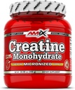 Amix Creatine Monohydraat - Poeder 300 Gram