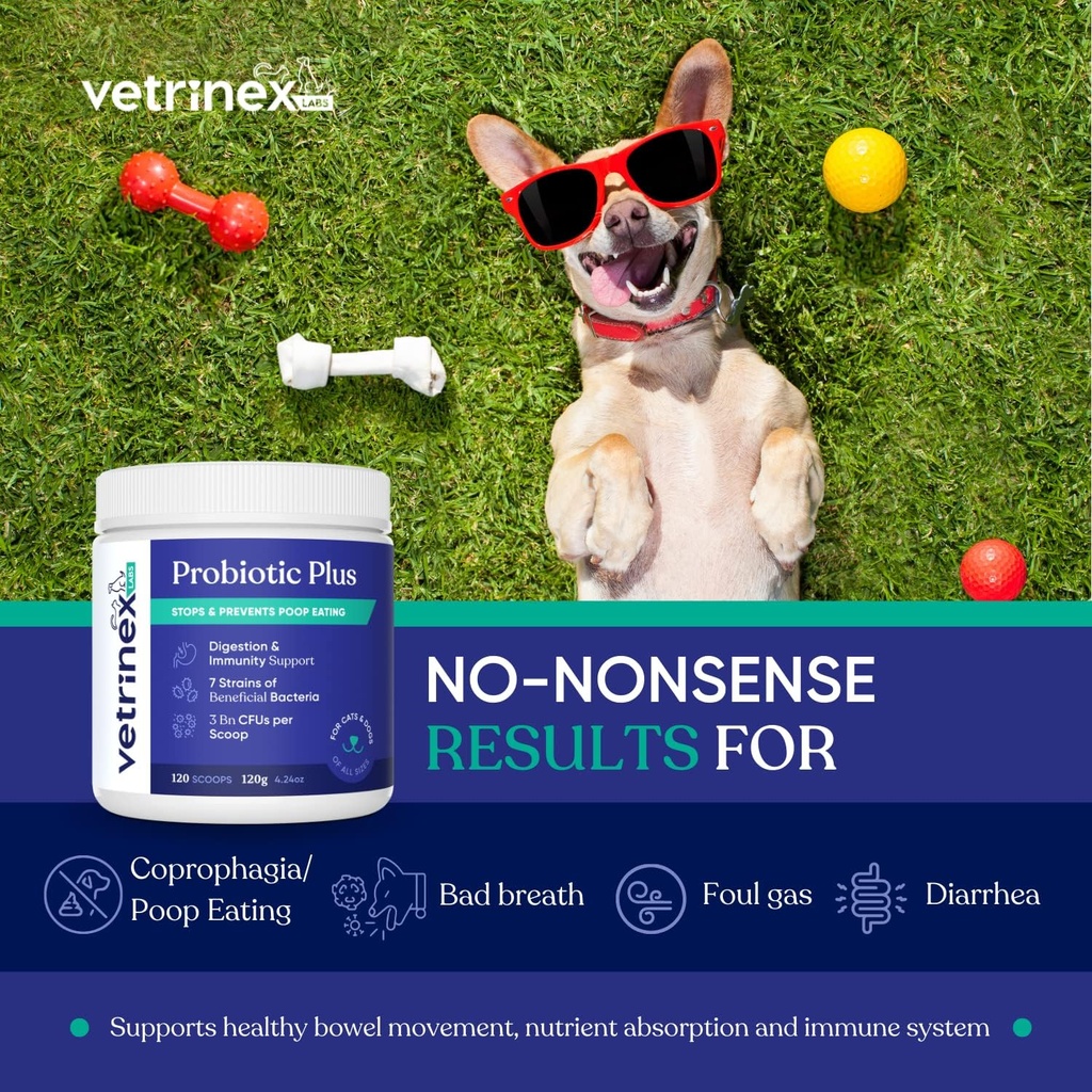 Coprophagie Porc Manger Déterrent et Prévention, Stop et Prévenir le traitement de la nourriture des tabourets - Probiotiques pour chiens, chats et chiots - Forbids Chien from Manger Poop - Probiotique Poudre (120 GMS)