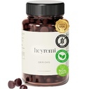 Gommies Debloat – Bloaging rapide et dégazage- Support digestif à base de plantes avec vinaigre de cidre de pomme, dandelion et thé vert plus léger, confortable et énergétique – 60 Gommies