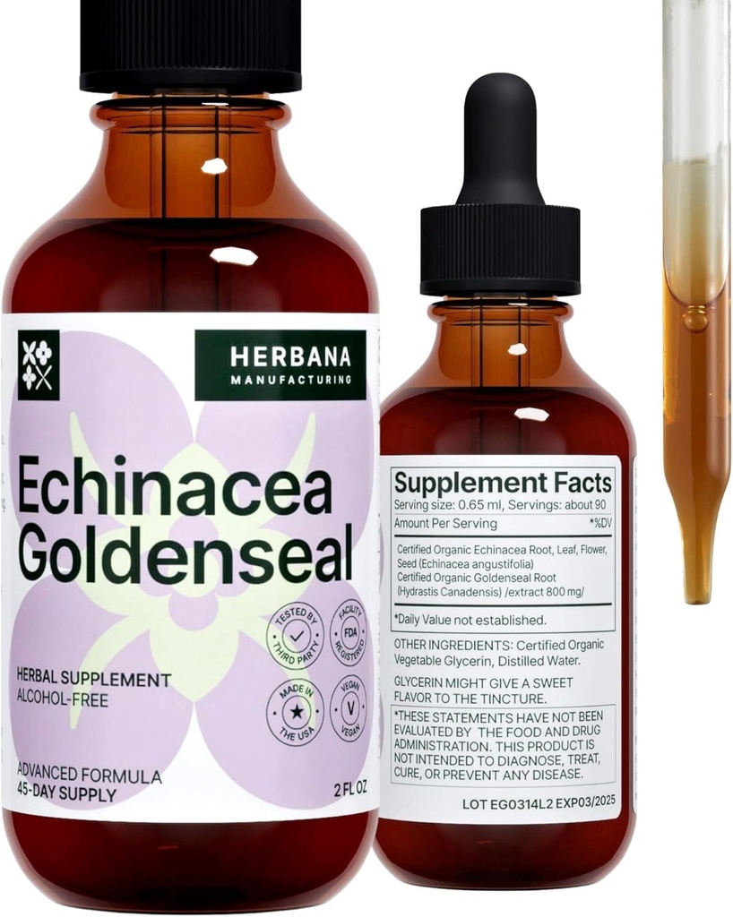 Echinacea and Goldenseal 2 fl oz Liquid Extract - Natural Herbal Supplement - Immune Support Drops - Verbeteren Slaap 