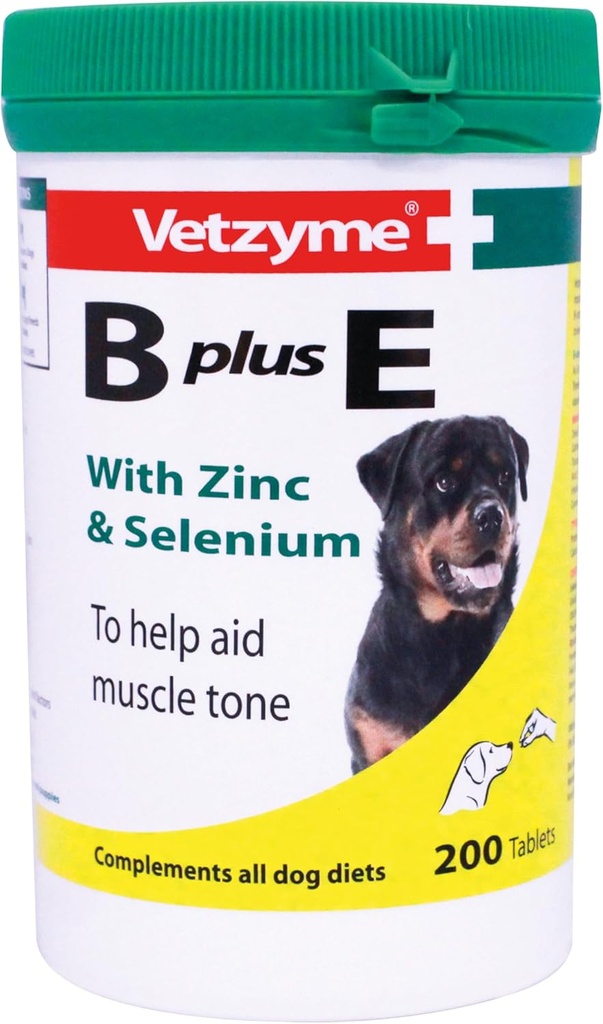 Chien vézyme B + E 200 Comprimés