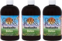 Yerba Prima Great Plains Bentonite klei - 16 oz (pakket van 3) - Natuurlijke interne vloeibare klei reiniging Supplement