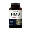 NatureBell HMB 3.000 mg per portie 300 capsules, 3X Triple Strength HMB Beta-Hydroxy Beta-Methylbutyraat Supplement 