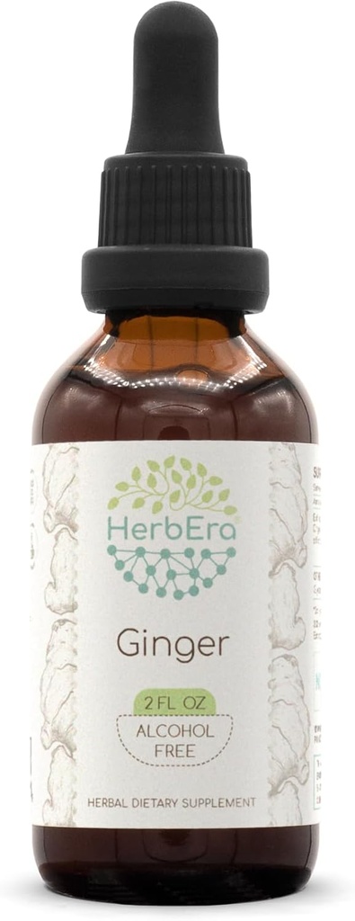 HerbEra Ginger B60 Teinture d'extrait de plantes sans alcool, Ginger super concentré (Zingiber officinale) 2 fl oz