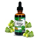 Het antwoord van de natuur Alcoholvrij Ginkgo Biloba Leaf Extract, 2 Ounce, 2 Count 