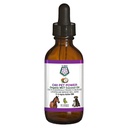 C60 Power for Pets - C60 in Organic MCT Coconut Oil, Natural Wellness Support for Dogs & Cats, Pure Carbon Fullerenes, Promoot gezonde veroudering, Energie, & Mobility - 2 floz Fles