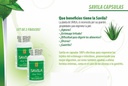 Nutrisalud Producten Capsulas de Savila, Aloë Vera Capsules 500mg. Set de 2 frascos 100 capsulas CADA uno.Efectivo Contra ulceras,agruras,mala Digestie, Colitis, estreñimiento. Dura mas de 3 Meses.