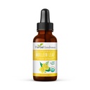 Extrait de feuille de Mullein à base de plantes - goutte de Mullein pour la désintoxication pulmonaire, l'expectorant à base de plantes et les propriétés antioxydantes pour la santé respiratoire et digestive - Teinture de Mullein 1oz