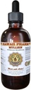 Extrait liquide de Mullein, Mulein biologique (Verbascum densiflorum) Teinture, supplément à base de plantes, Hawaii Pharm, Fabriqué aux États-Unis, Hawaii Pharm, Fabriqué aux États-Unis 2 fl.oz