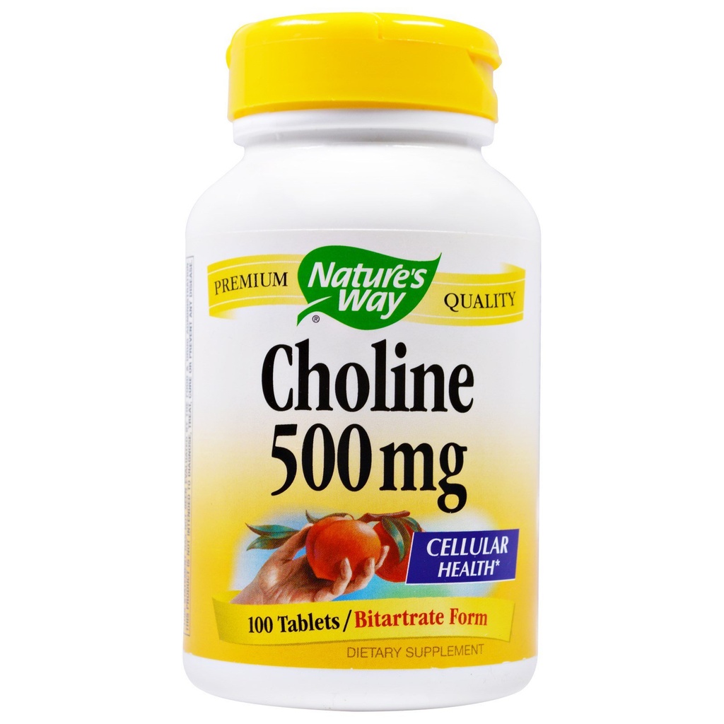 Nature's Way Choline 500mg 100 tabletten