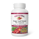 Natuurlijke factoren, GrapeSeedRich Grape Seed Extract, Antioxidant Ondersteuning voor gezonde ontstoken respons, 90 capsules