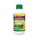 Broncolin honing siroop met Propolis, Siroop met natuurlijke plantenextracten om uw keel te verfrissen, natuurlijke ingrediënten, vlierbessen, eucalyptus, pepermuntolie, 11,4 Oz, fles