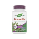 Nature's Way Boswellia Premium Extract, soutient la mobilité mixte*, 307 mg Boswellia serrata Extrait par service, supplément d'encens, sans gluten et végétalien - 60 comprimés (paquetage May Vary)