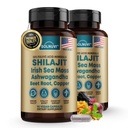 Shilajit Pure Himalaya Organische Capsules met Ierse Zee Mos, Ashwagandha, Koper, Beetwortel - Fulvic Acid Trace Minerals Supplement voor mannen en vrouwen - 90 Telling, Non-GMO, Glutenvrije