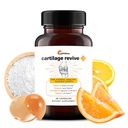 UpWellness Cartilage Revive + Joint Support Supplement voor mannen en vrouwen met type II Collagen voor gewrichten - D-Glucosamine sulfaat, MSM, vitamine D3, vitamine C en meer - 60 capsules