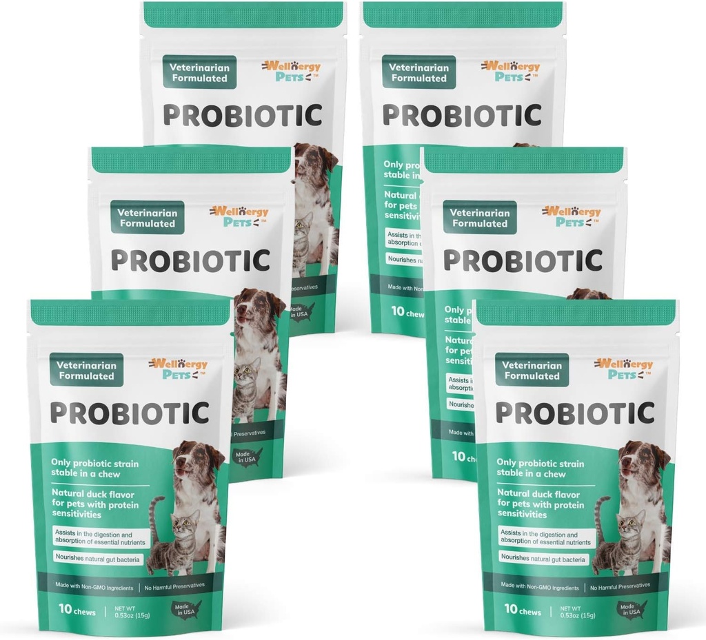 Wellnergy Daily Probiotica & Prebiotica Zachte kauwgom voor honden en katten - Digestieve ondersteuning voor diarree, constipatie, verstoorde maag, spijsvertering en gas - helpt spijsvertering, Allergie Huid & Immune Health 60ct