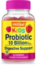 WellYeah Probiotica voor kinderen Gummies -10 miljard CFU - voor Gut Health, Immune Health en Digestieve Ondersteuning - Berry Flavor Kauwbare Supplement - Vegan, Niet GGO, Glutenvrije Kinderen Probiotic -60 Gummies