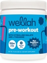 Wellah Get-Going Pre-Workout Drink Mix (Blue Raspberry Flavored, 30 Servers)