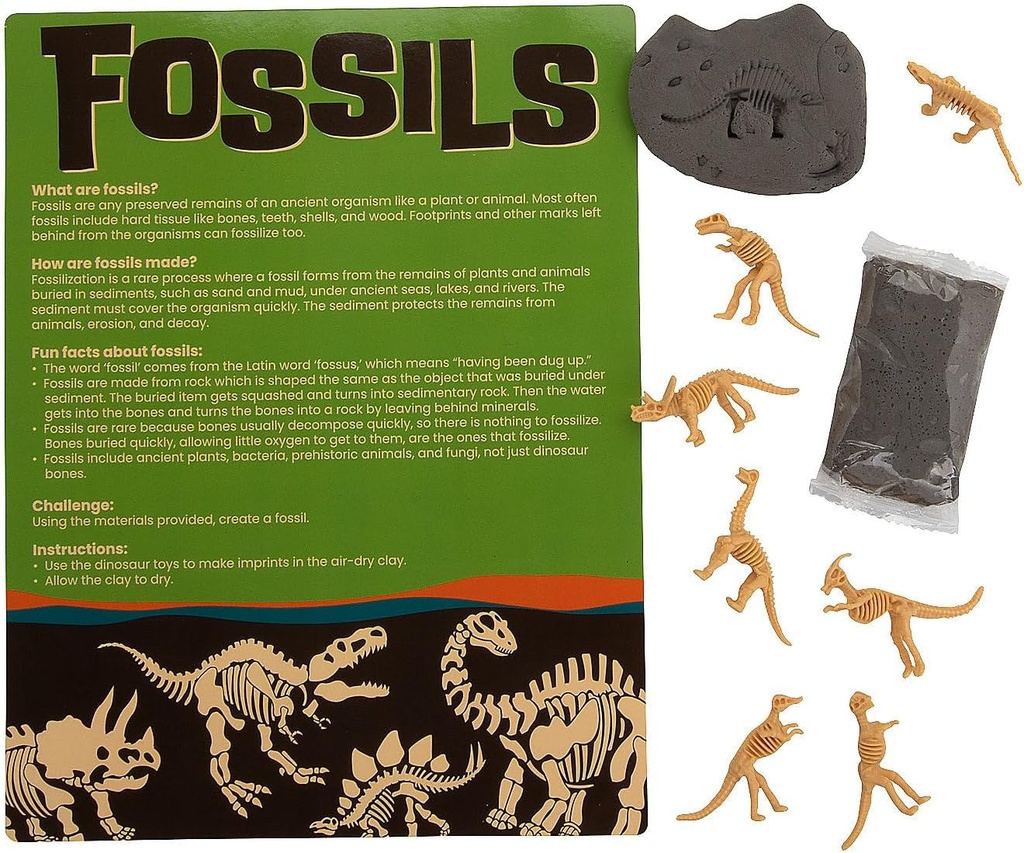 Fun Express Maak uw eigen Fossil Craft Kit - maakt 12