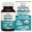Organic Jodium Supplement from Sea Vegetable Complex, Whole Food & Raw Form - Iodine Plus Trace Mineral Complex bevat Purest Ijslands Sea Kelp, Irish Moss & Bladerwrack (250 mcg)