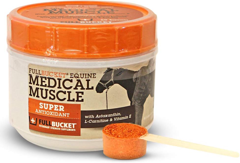 FullBucket Equine Medical Muscle Recovery – Supplément de performance du cheval de récupération musculaire athlétique