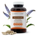Geheimen van de Tribe Blue Vervain 120 capsules, 1000 mg, Blue Vervain (Verbena Hastata) Gedroogde kruiden (120 capsules)